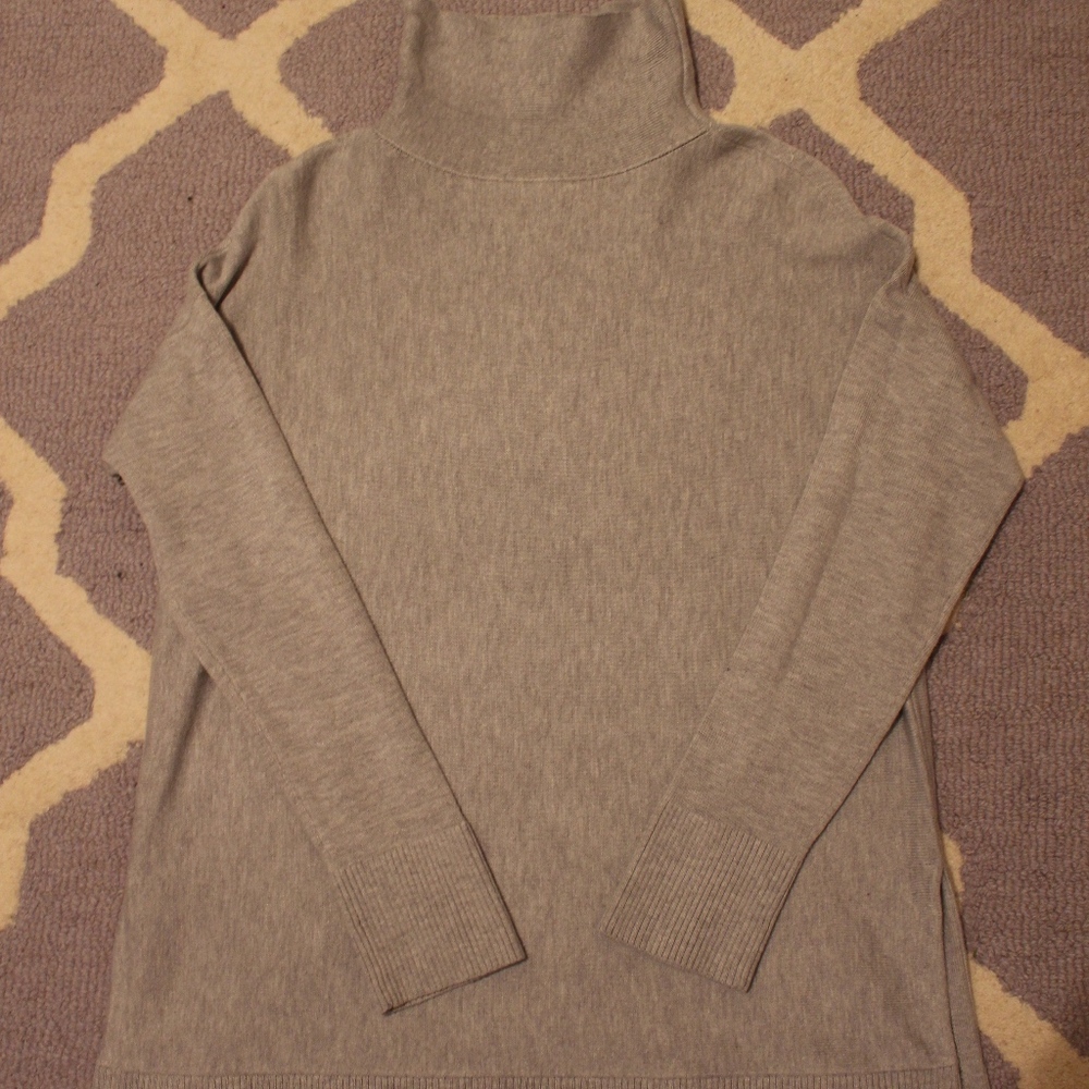 Loft Turtleneck Sweater